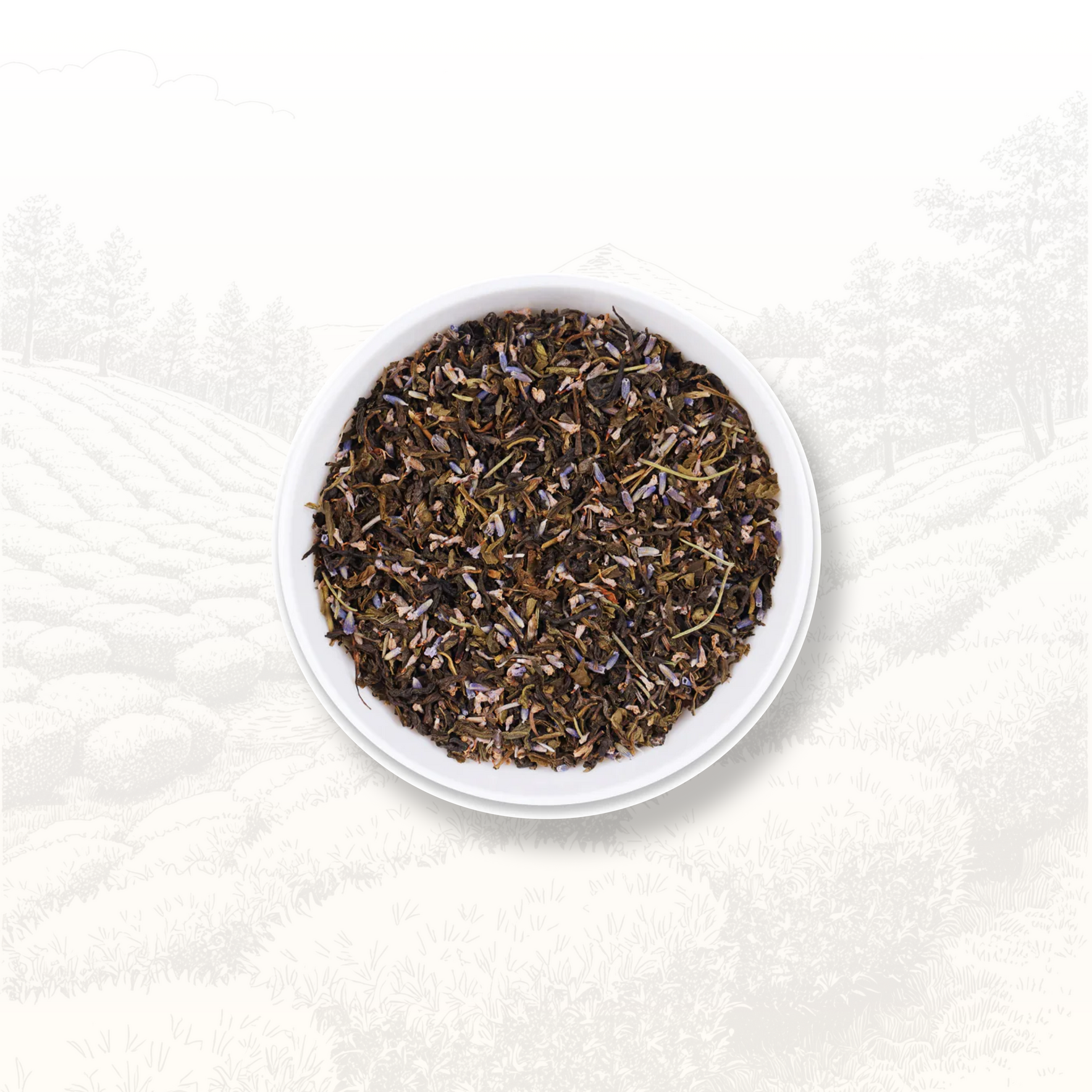 Himalayan Chamomile Lavender  - Batch 1/9